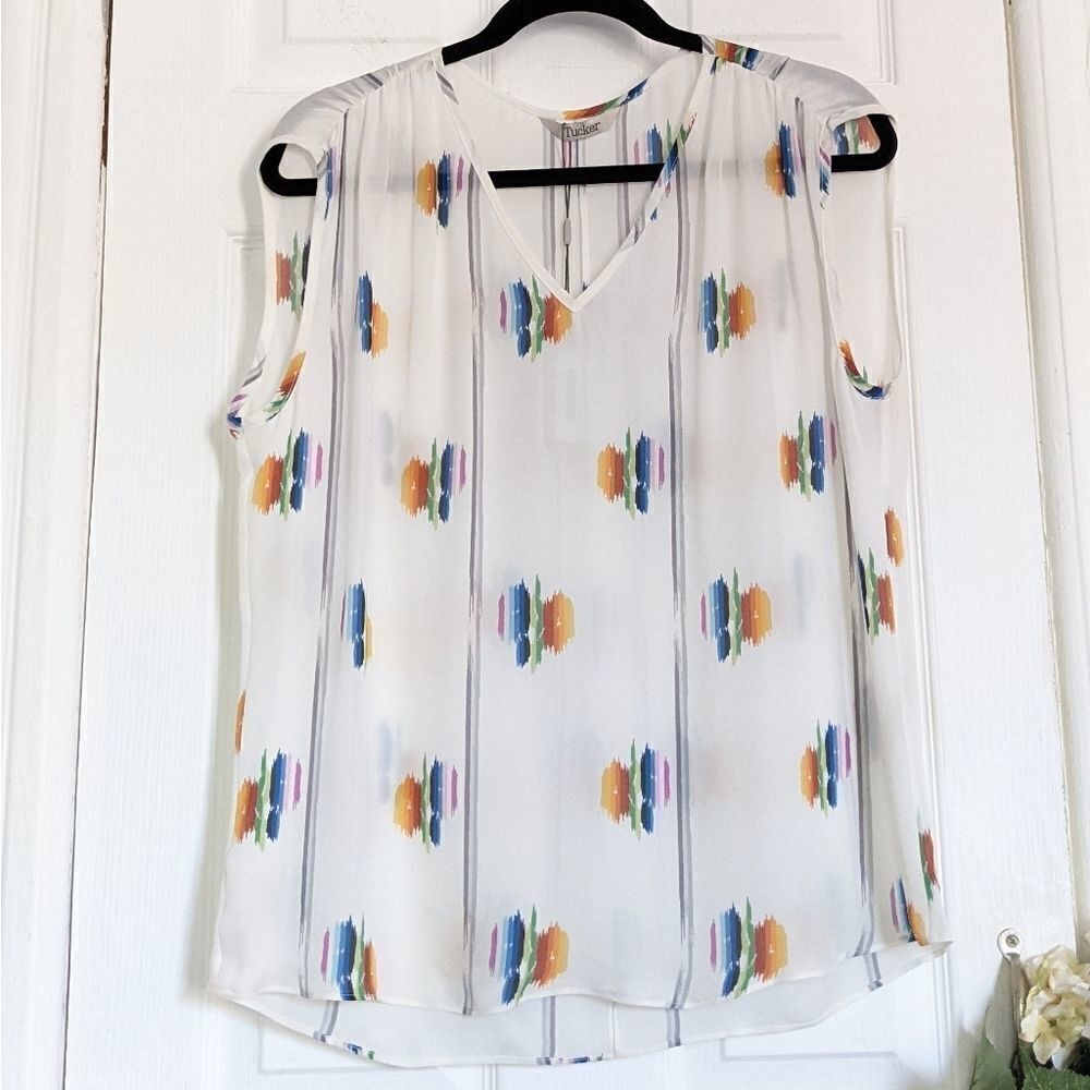 Tucker The Muscle Tee Follow the Rainbow Silk Blouse Top Sheer